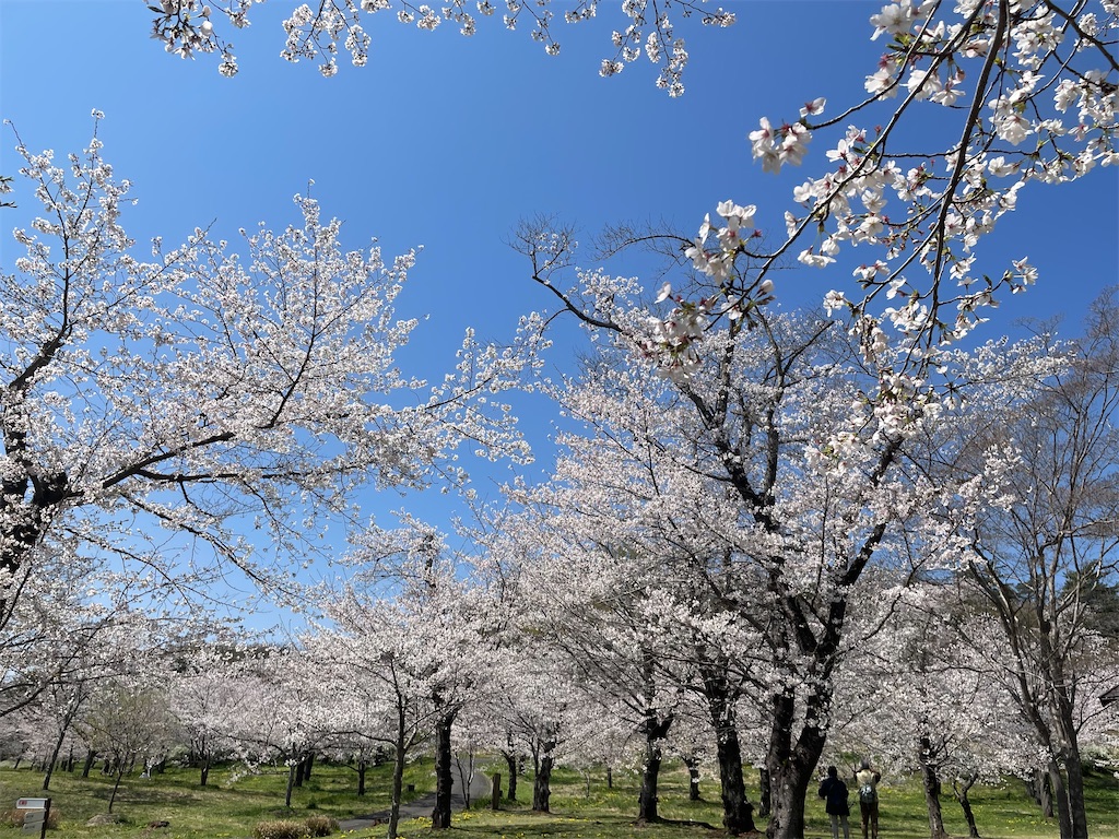 f:id:kosamebitaki733:20260405120833j:image f:id:kosamebitaki733:20260405120833j:image