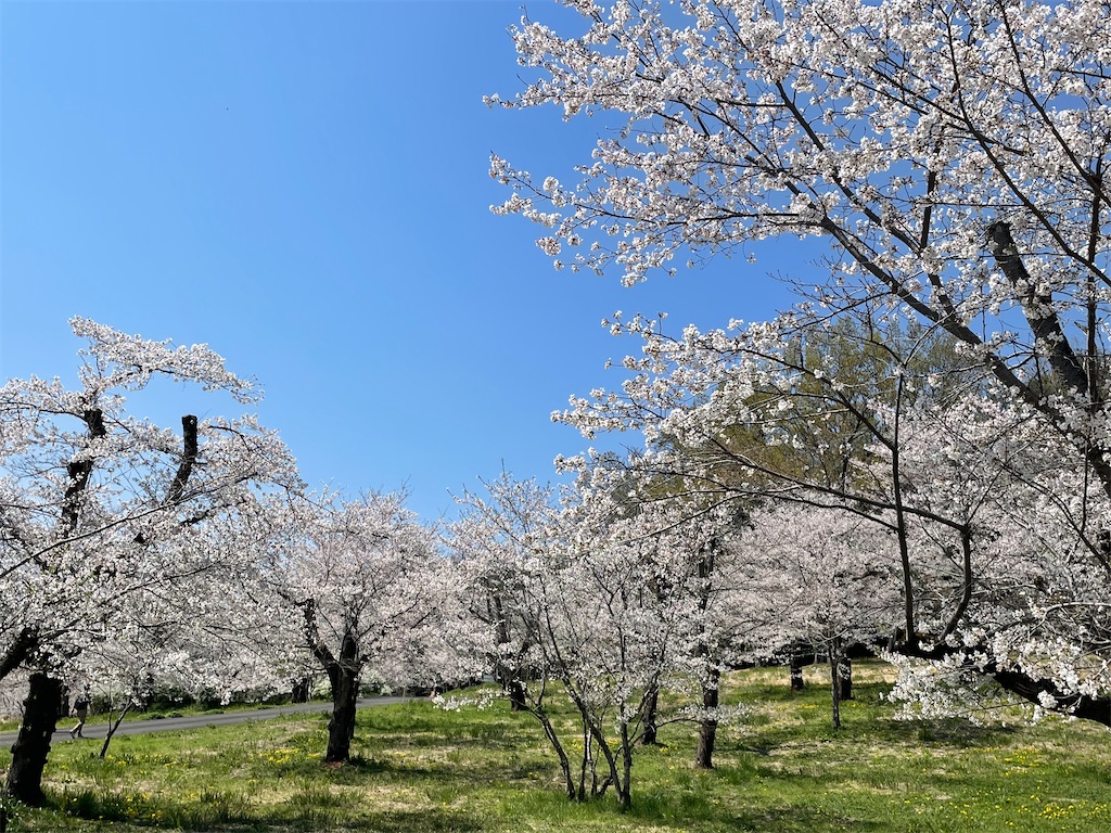 f:id:kosamebitaki733:20260405120855j:image f:id:kosamebitaki733:20260405120855j:image