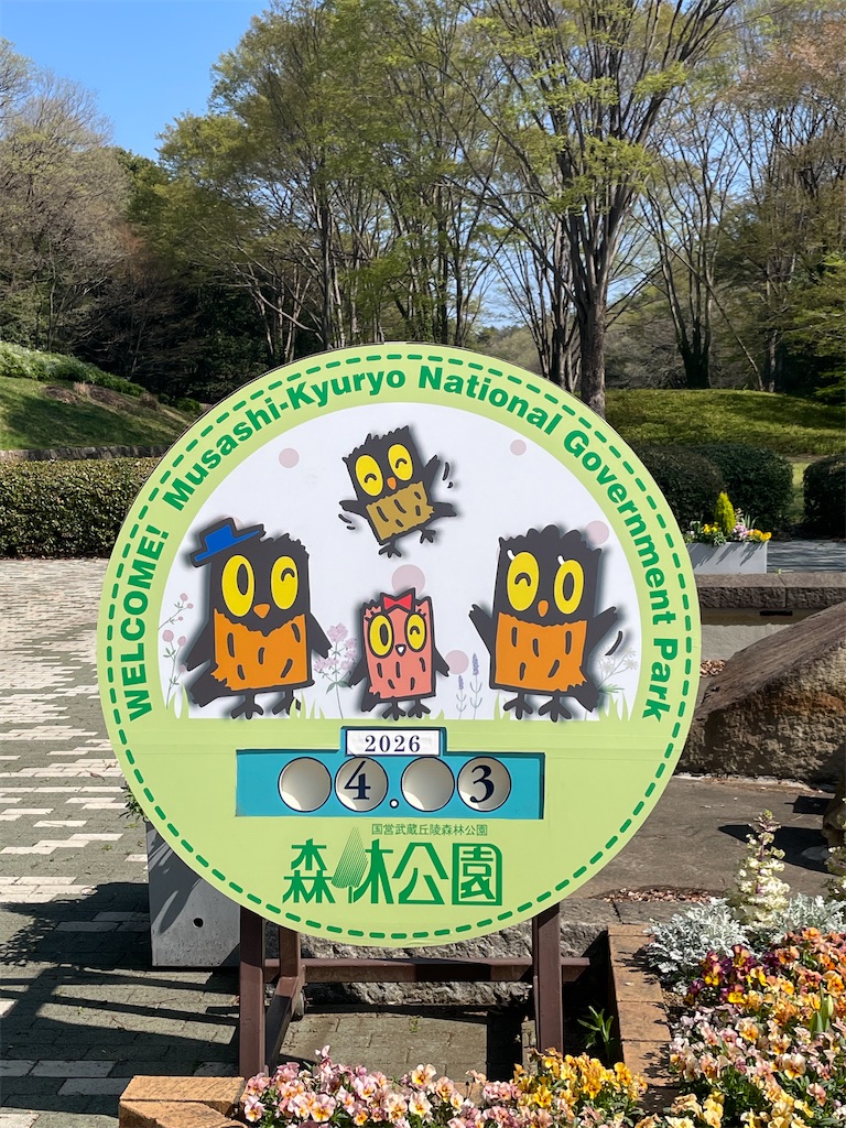 f:id:kosamebitaki733:20260405120932j:image f:id:kosamebitaki733:20260405120932j:image