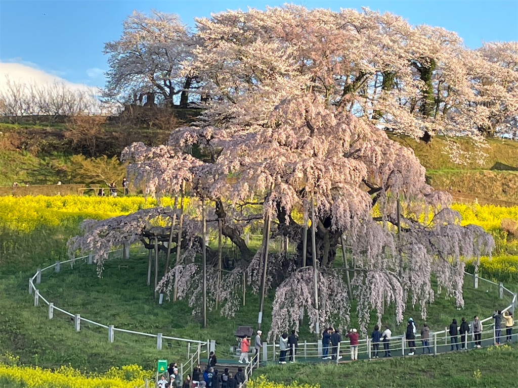 f:id:kosamebitaki733:20260414103810j:image f:id:kosamebitaki733:20260414103810j:image