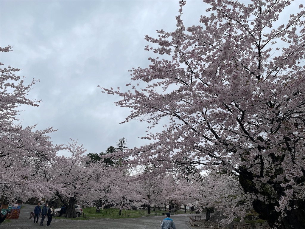 f:id:kosamebitaki733:20260414103824j:image f:id:kosamebitaki733:20260414103824j:image