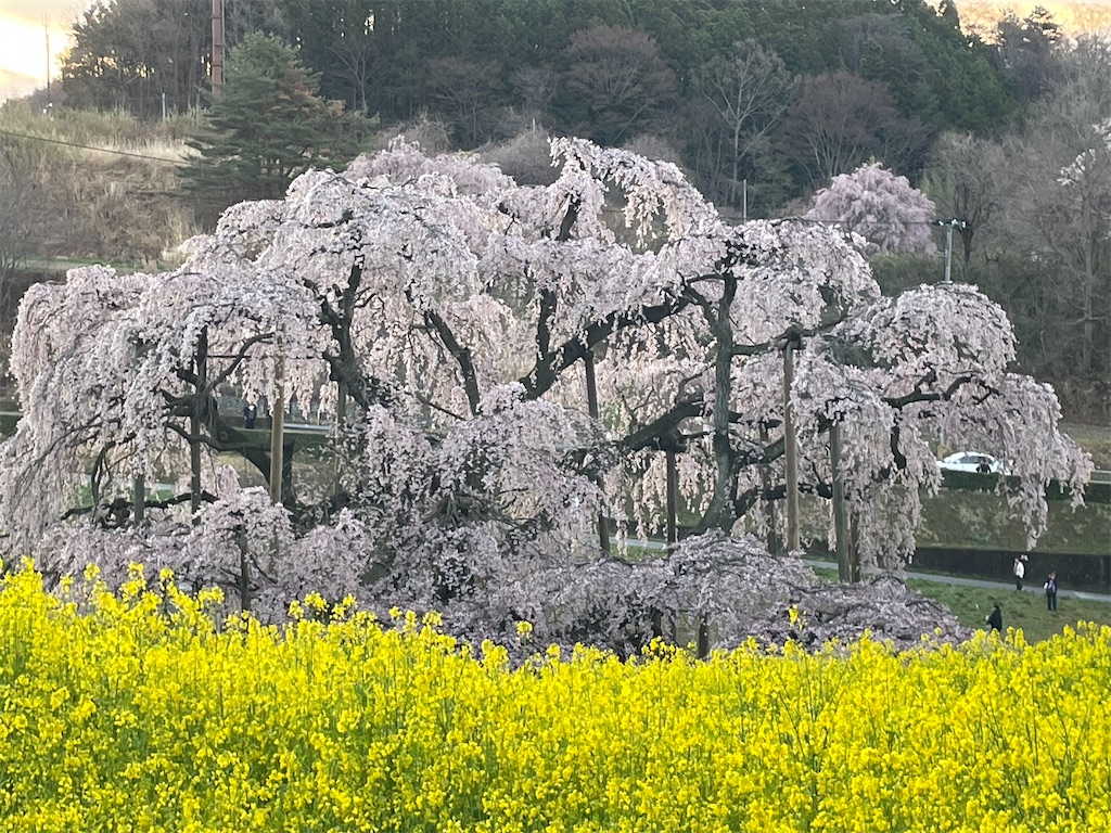 f:id:kosamebitaki733:20260414103844j:image f:id:kosamebitaki733:20260414103844j:image