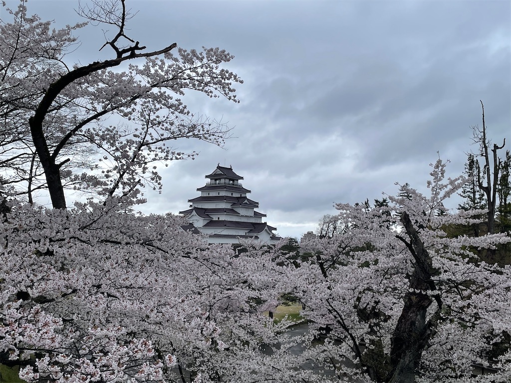 f:id:kosamebitaki733:20260414103858j:image f:id:kosamebitaki733:20260414103858j:image