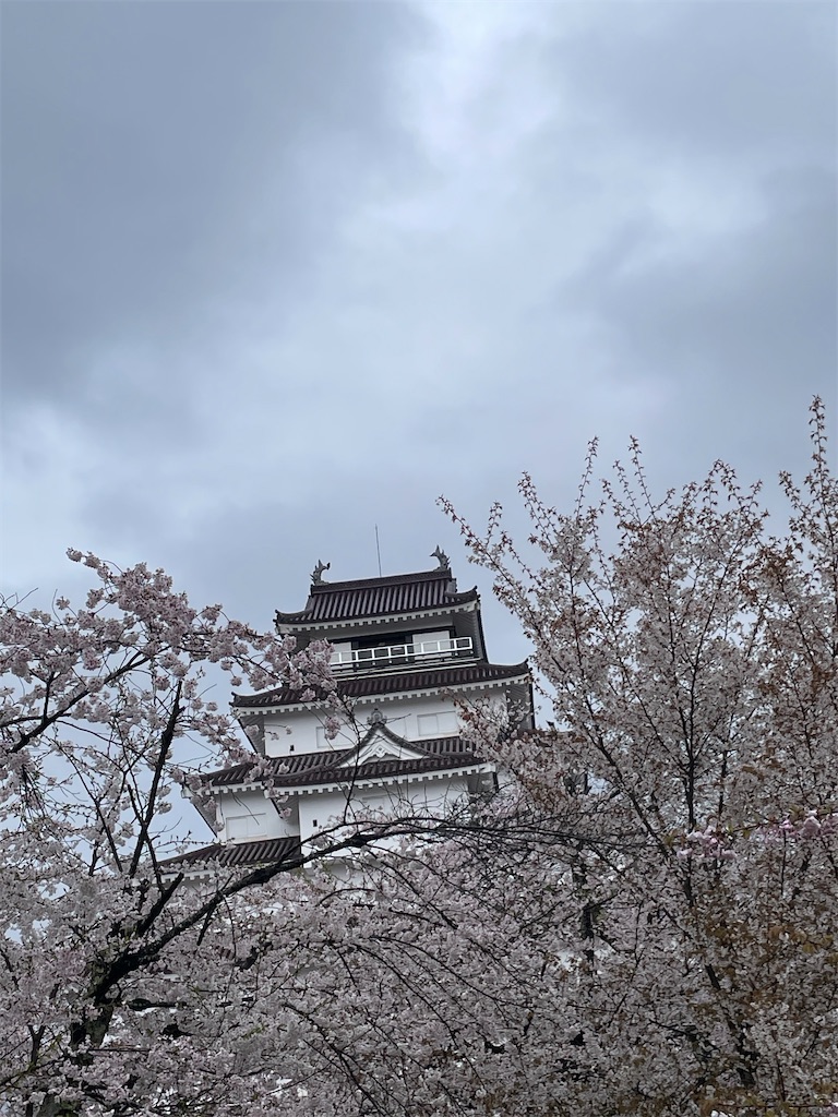 f:id:kosamebitaki733:20260414103901j:image f:id:kosamebitaki733:20260414103901j:image