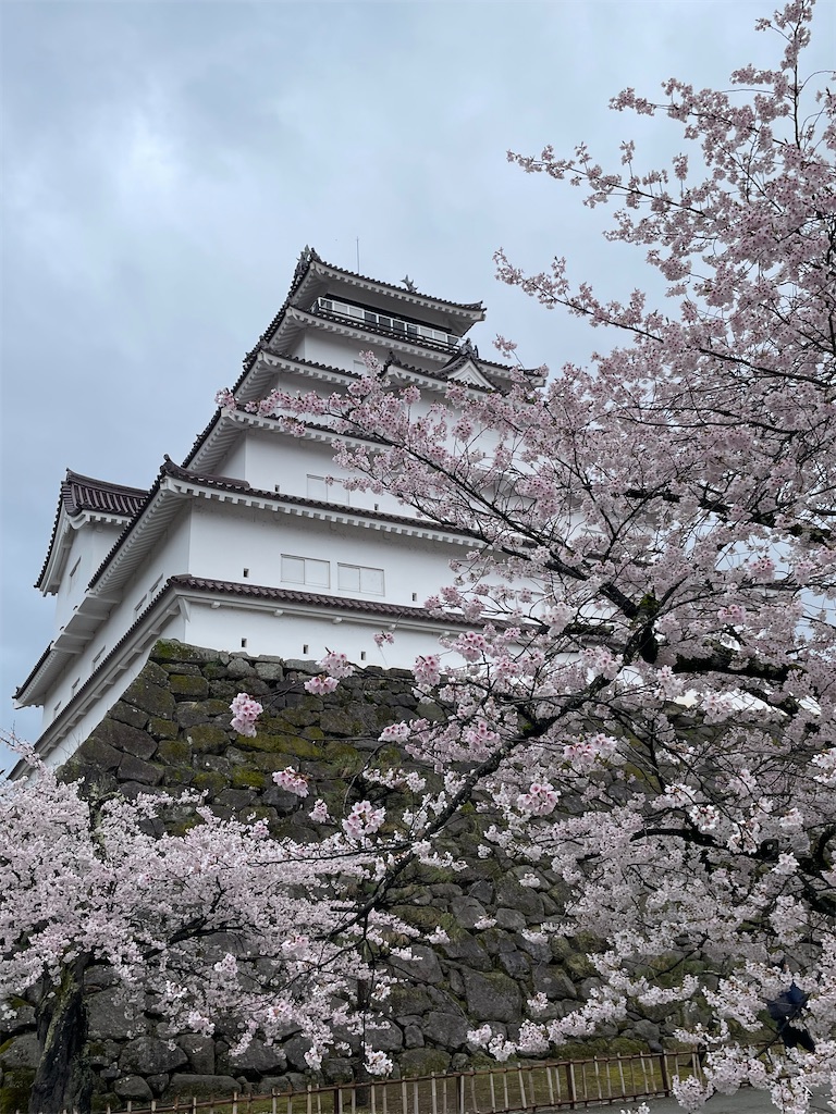 f:id:kosamebitaki733:20260414103928j:image f:id:kosamebitaki733:20260414103928j:image