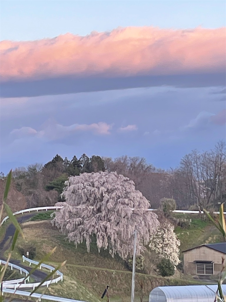 f:id:kosamebitaki733:20260414103940j:image f:id:kosamebitaki733:20260414103940j:image