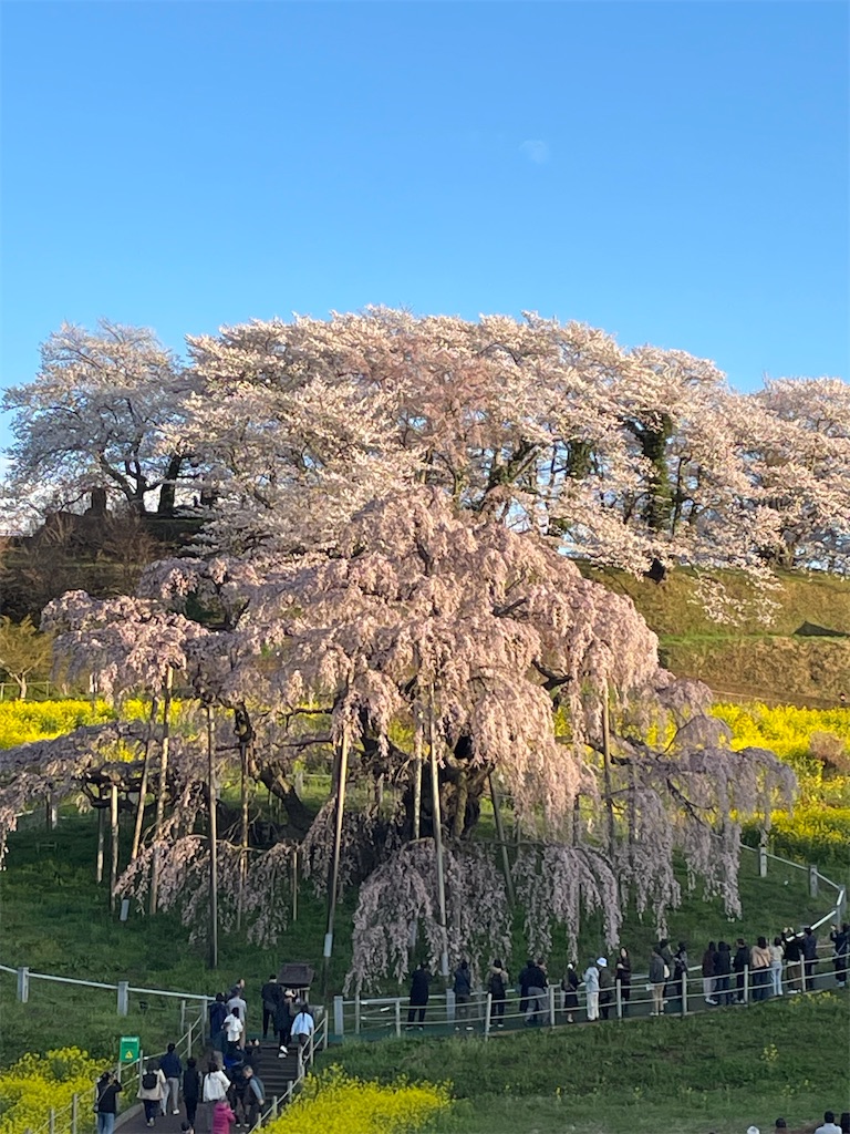 f:id:kosamebitaki733:20260414104011j:image f:id:kosamebitaki733:20260414104011j:image