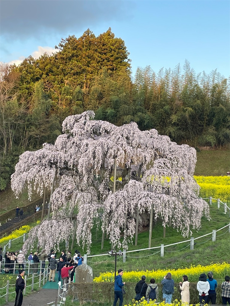 f:id:kosamebitaki733:20260414104014j:image f:id:kosamebitaki733:20260414104014j:image