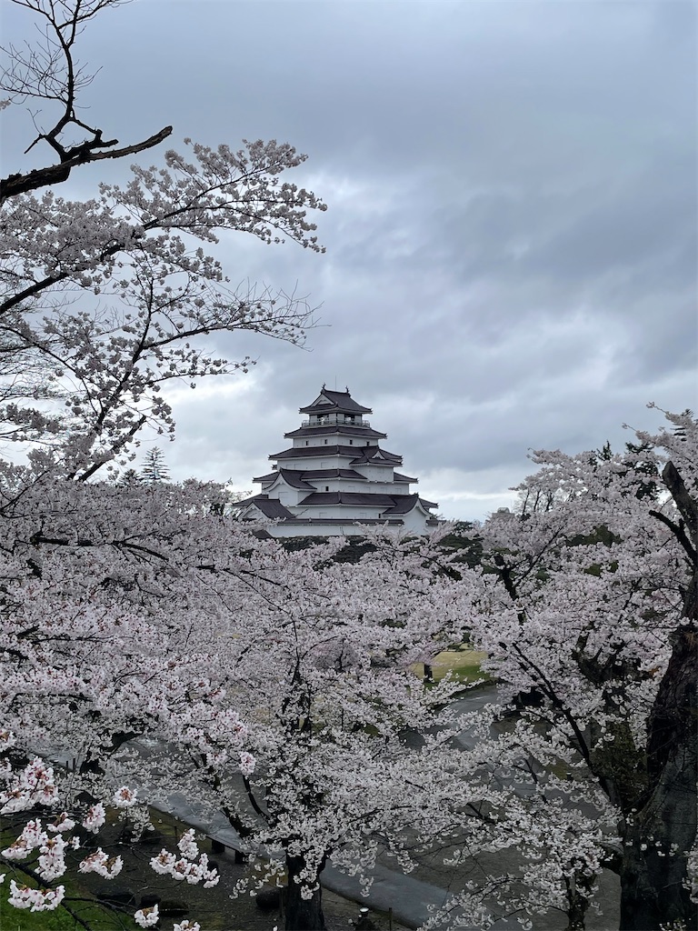 f:id:kosamebitaki733:20260414104026j:image f:id:kosamebitaki733:20260414104026j:image