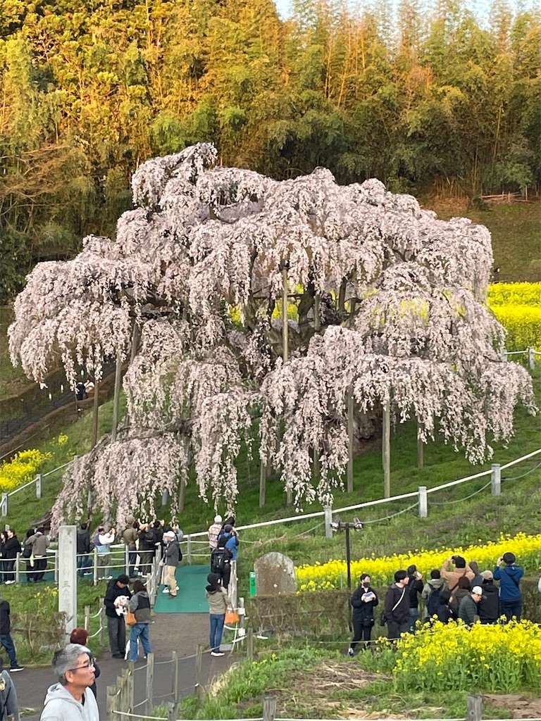 f:id:kosamebitaki733:20260414104030j:image f:id:kosamebitaki733:20260414104030j:image
