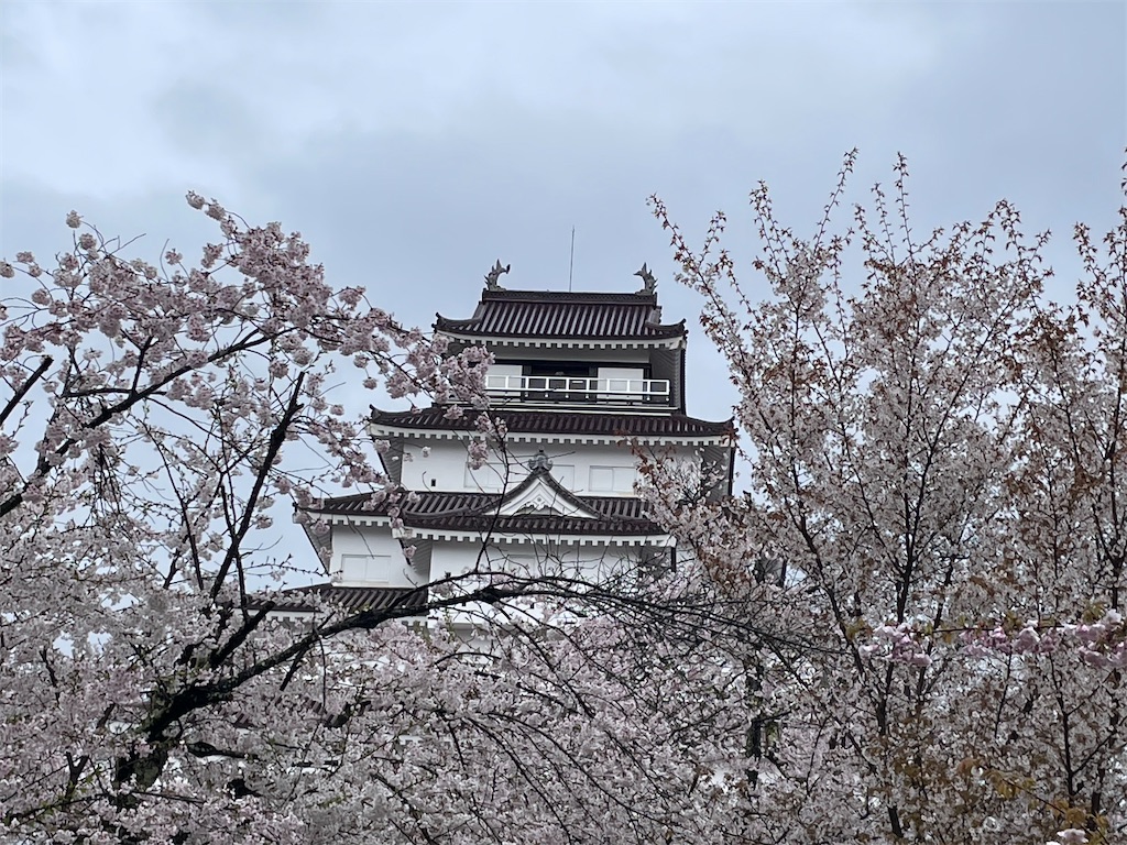 f:id:kosamebitaki733:20260414104046j:image f:id:kosamebitaki733:20260414104046j:image