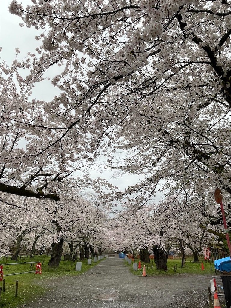 f:id:kosamebitaki733:20260414104059j:image f:id:kosamebitaki733:20260414104059j:image
