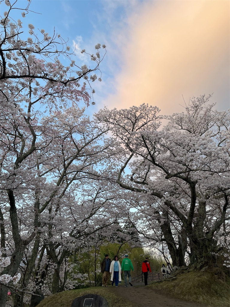 f:id:kosamebitaki733:20260414104104j:image f:id:kosamebitaki733:20260414104104j:image