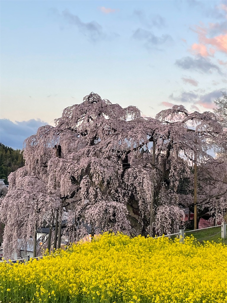 f:id:kosamebitaki733:20260414104134j:image f:id:kosamebitaki733:20260414104134j:image