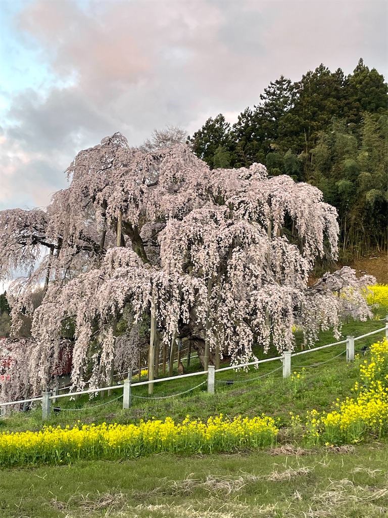 f:id:kosamebitaki733:20260414104210j:image f:id:kosamebitaki733:20260414104210j:image