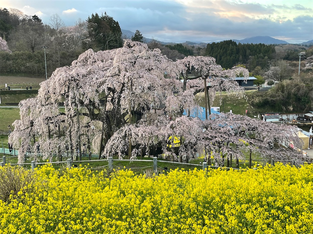 f:id:kosamebitaki733:20260414104214j:image f:id:kosamebitaki733:20260414104214j:image
