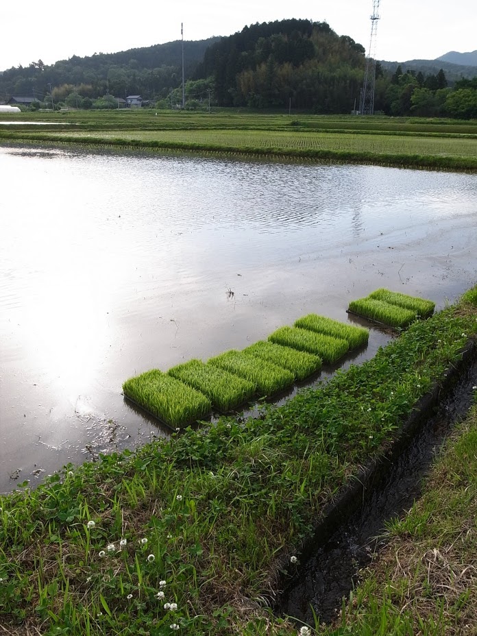 f:id:kosanikki:20170517205142j:plain