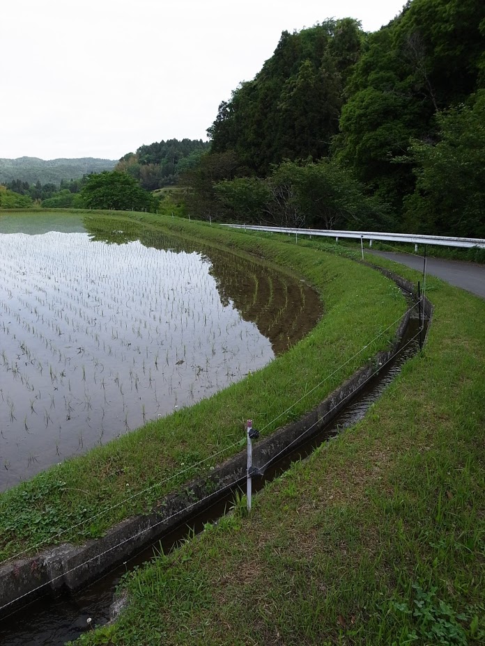 f:id:kosanikki:20170517205200j:plain