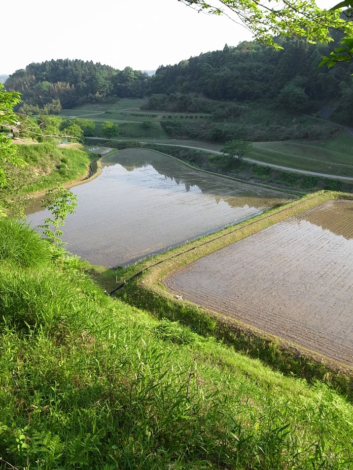 f:id:kosanikki:20170521192121j:plain