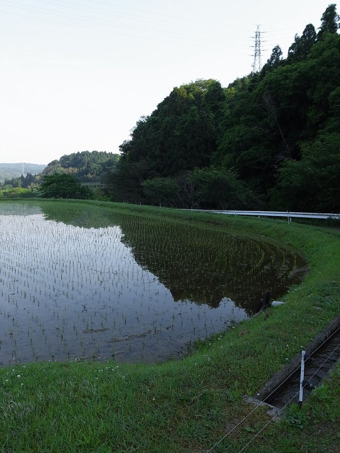 f:id:kosanikki:20170521192122j:plain