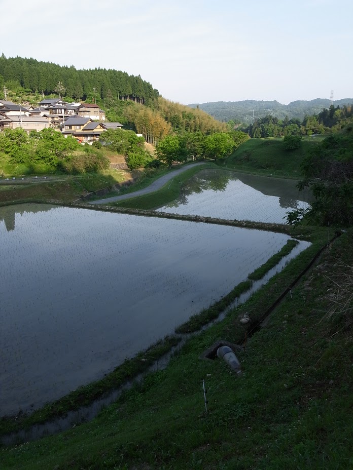 f:id:kosanikki:20170521192124j:plain