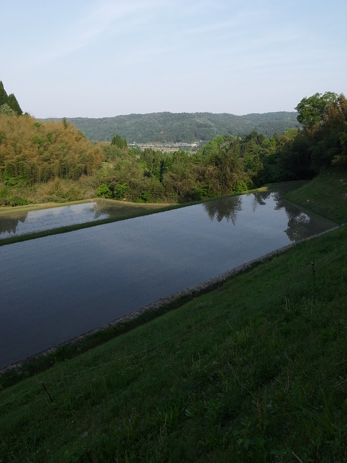 f:id:kosanikki:20170521192125j:plain