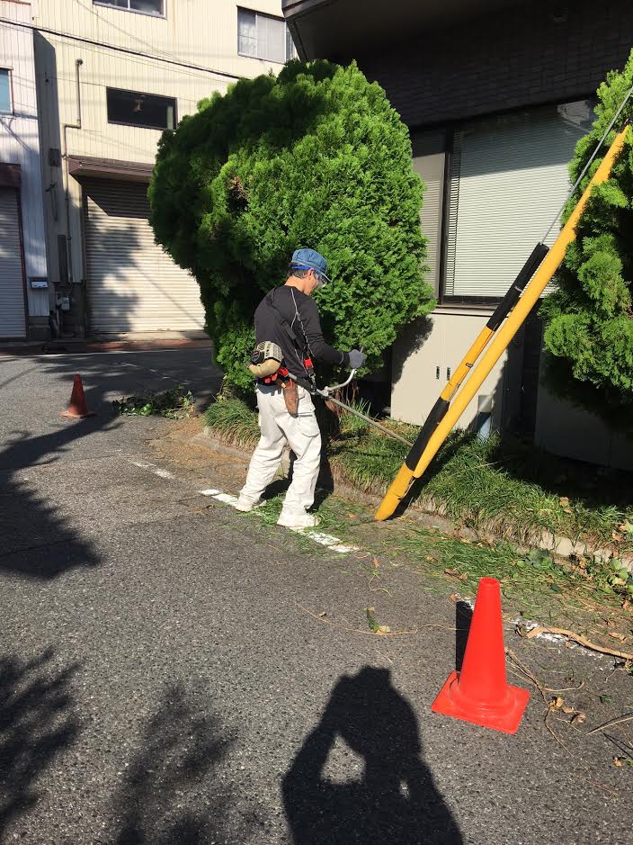 f:id:kosanikki:20171026191417j:plain