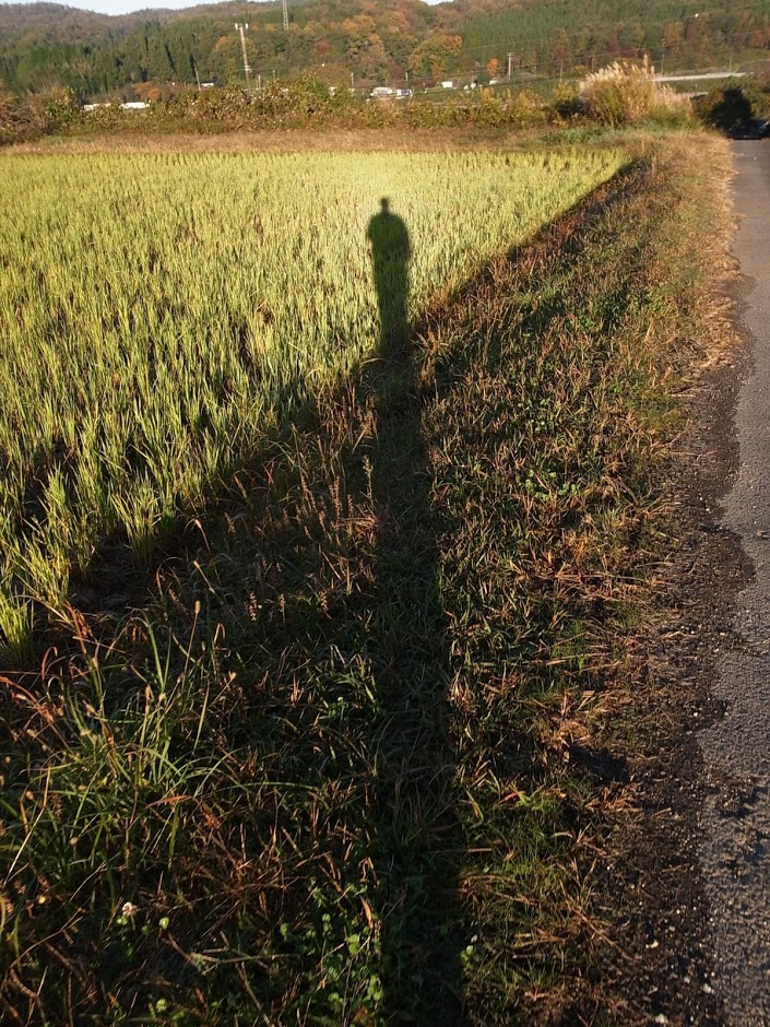 f:id:kosanikki:20171112211913j:plain