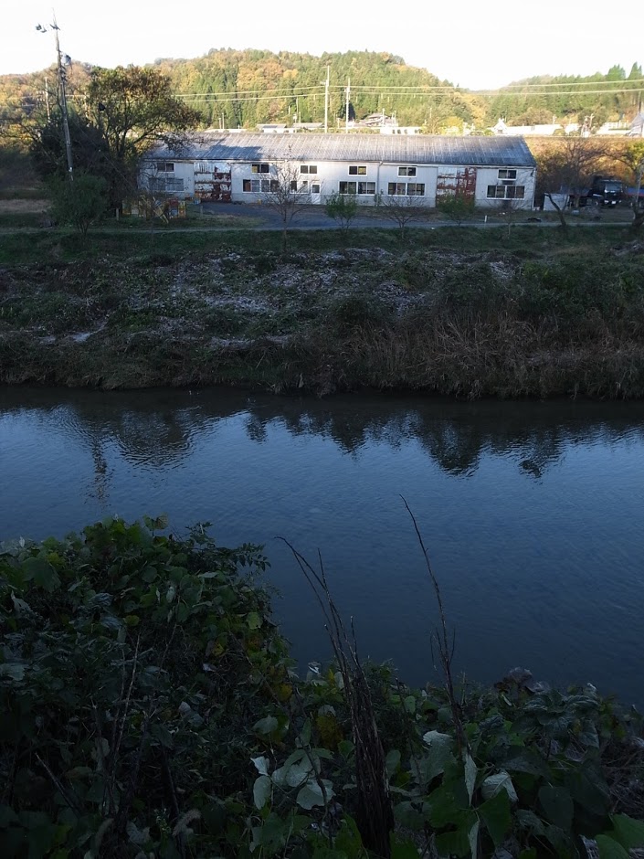 f:id:kosanikki:20171112211929j:plain