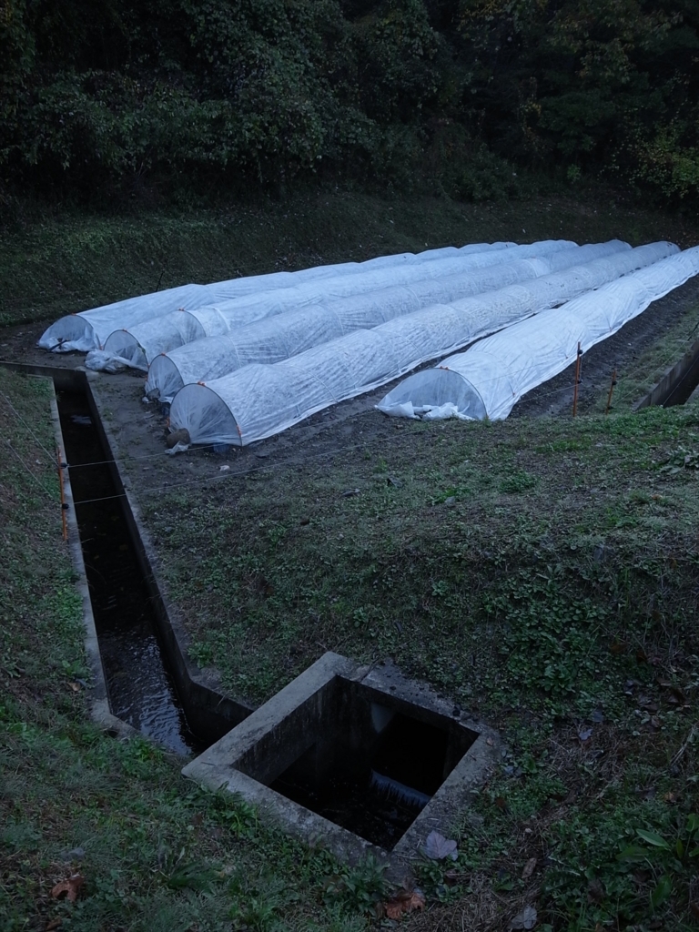 f:id:kosanikki:20171115211615j:plain