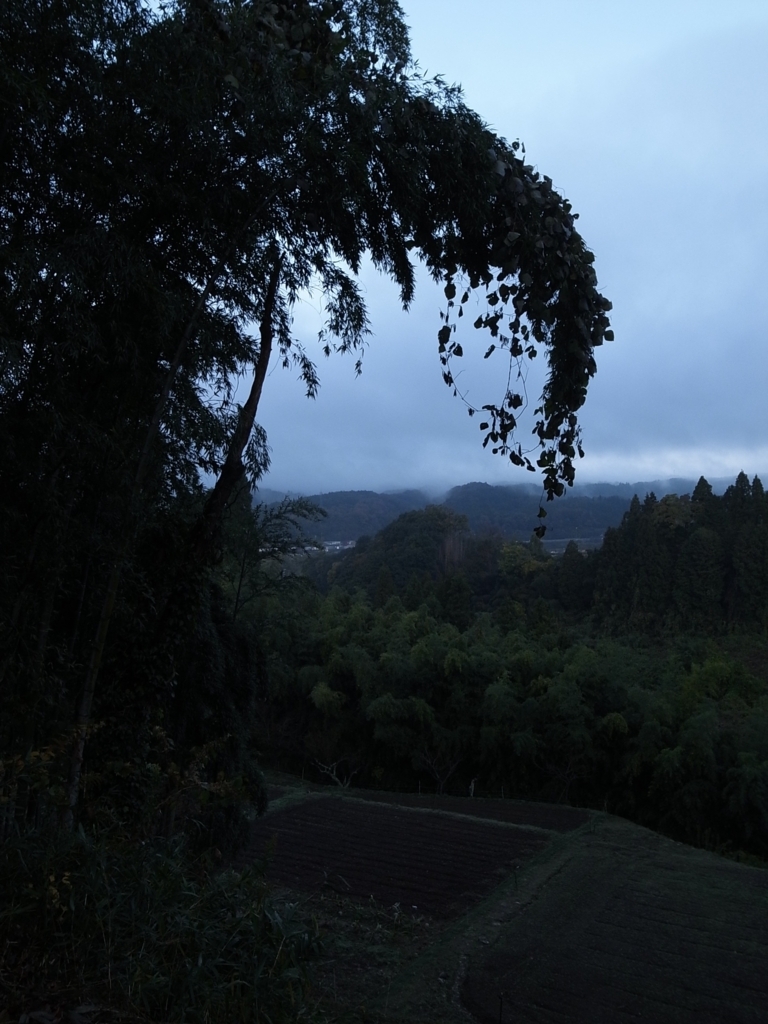 f:id:kosanikki:20171115211648j:plain