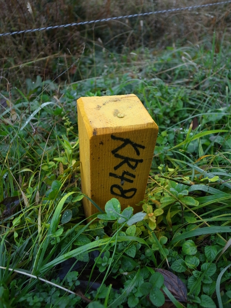 f:id:kosanikki:20171115211654j:plain