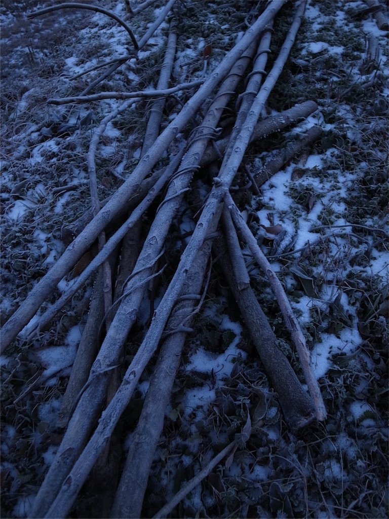 f:id:kosanikki:20171229181853j:image