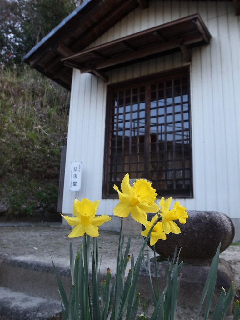 f:id:kosanikki:20180331184406j:image