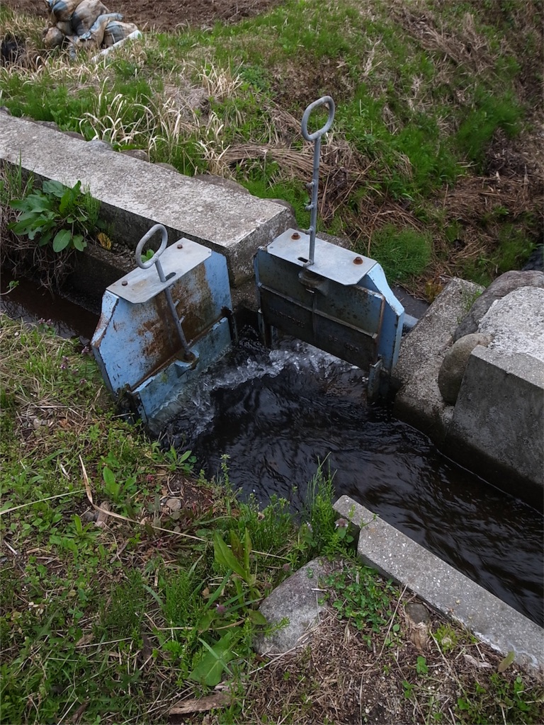 f:id:kosanikki:20180417190905j:image