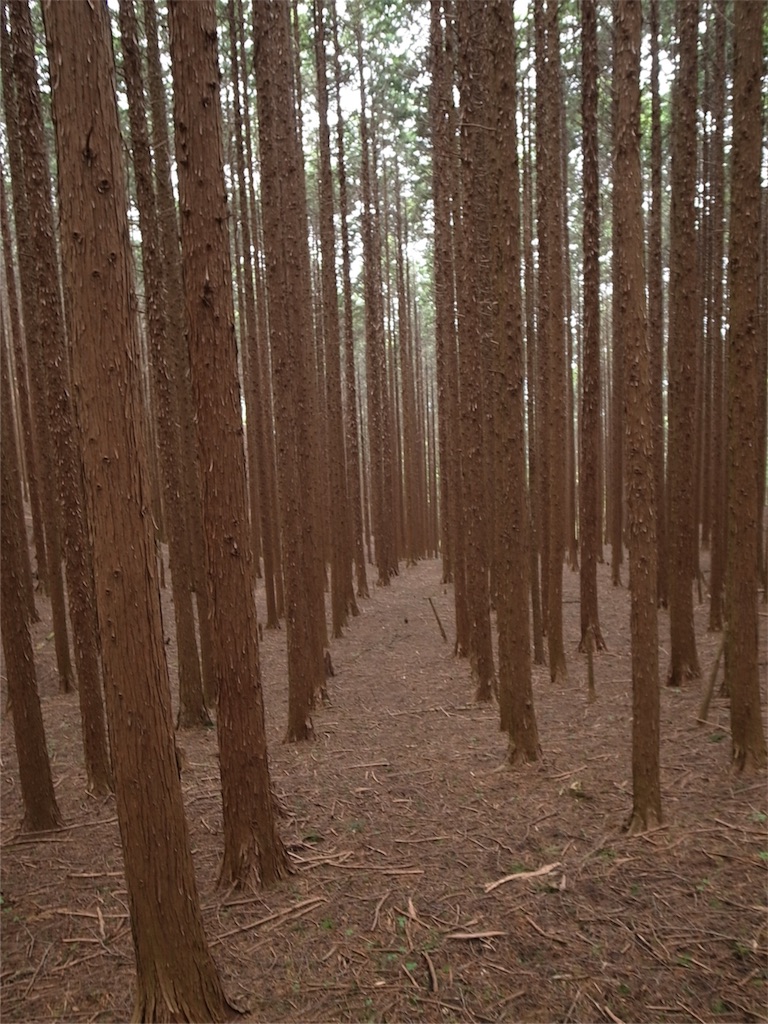 f:id:kosanikki:20180430194522j:image