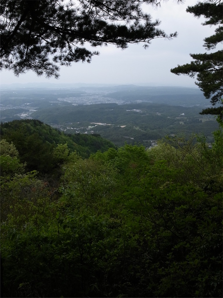 f:id:kosanikki:20180430194716j:image