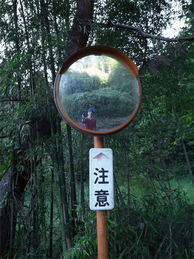 f:id:kosanikki:20180613184242j:image