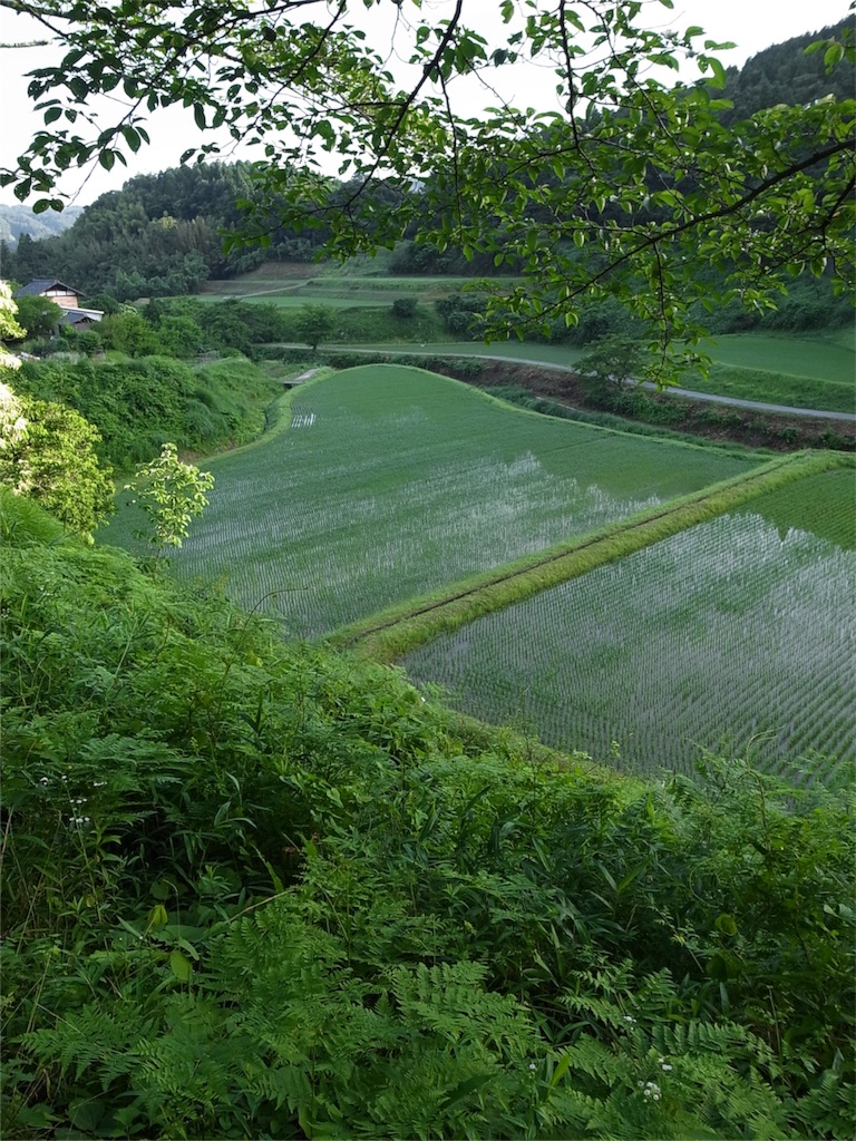 f:id:kosanikki:20180614185152j:image