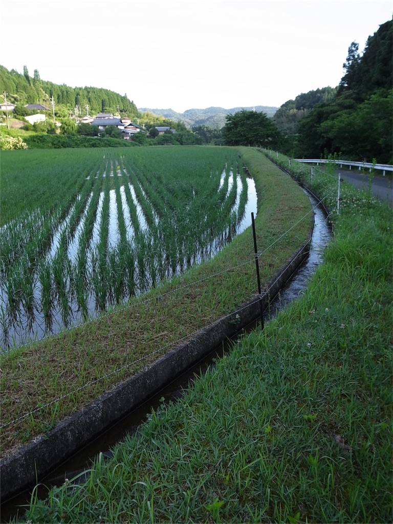 f:id:kosanikki:20180614185211j:image