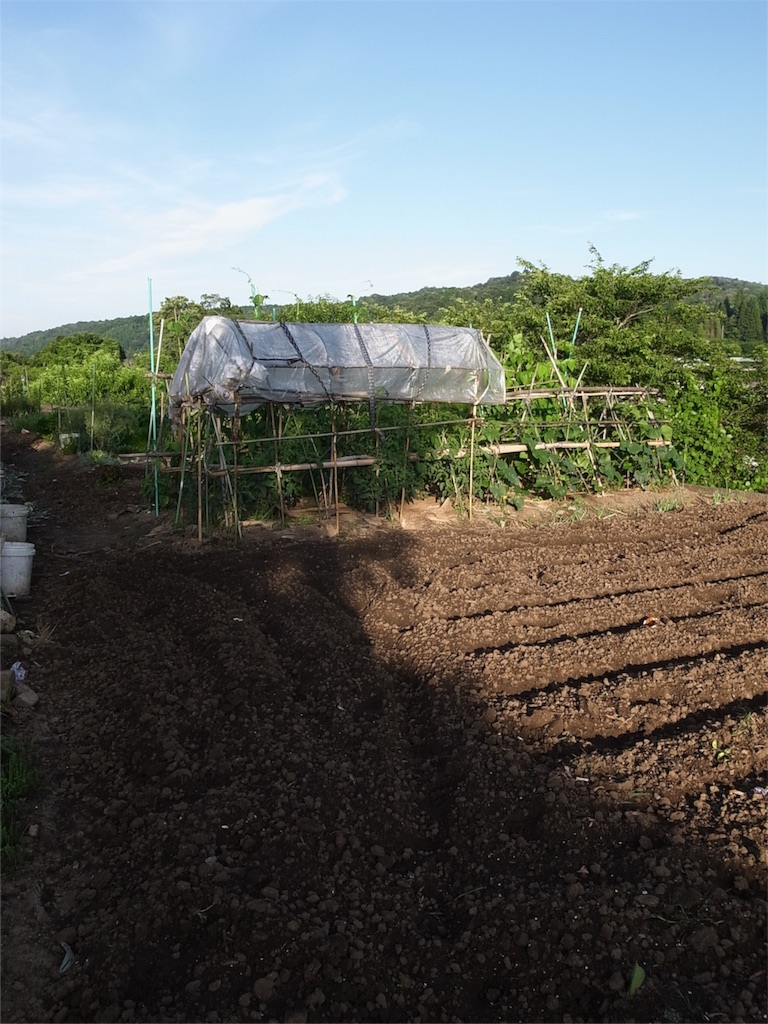 f:id:kosanikki:20180614185230j:image