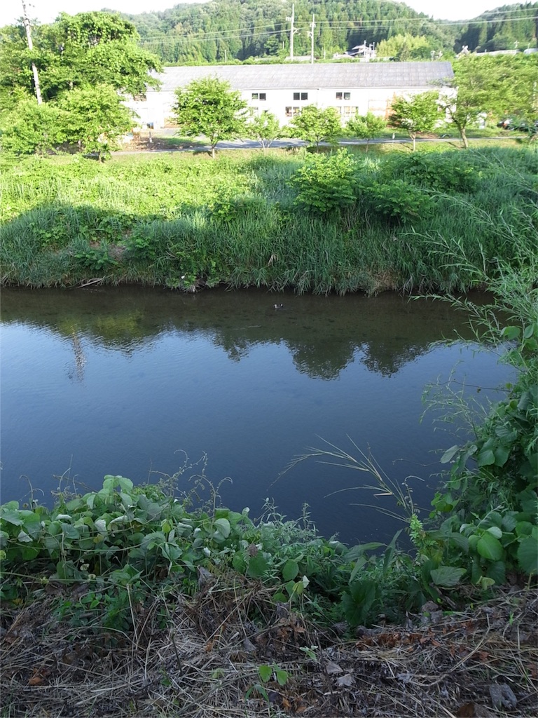 f:id:kosanikki:20180614185351j:image