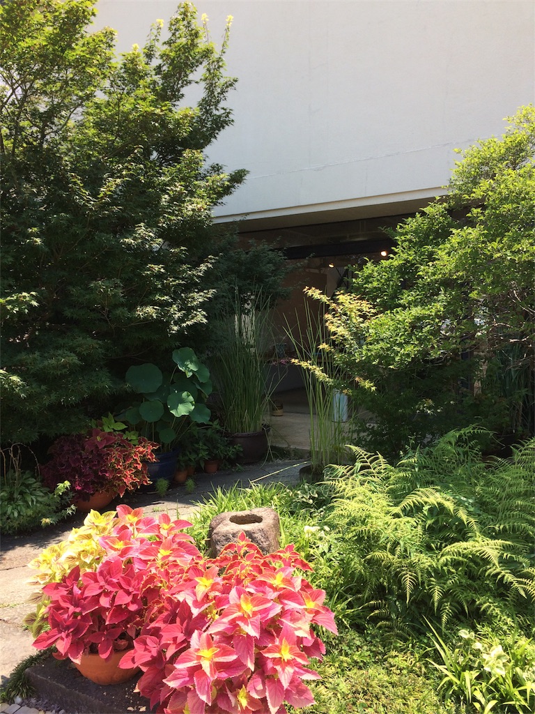 f:id:kosanikki:20180715174756j:image