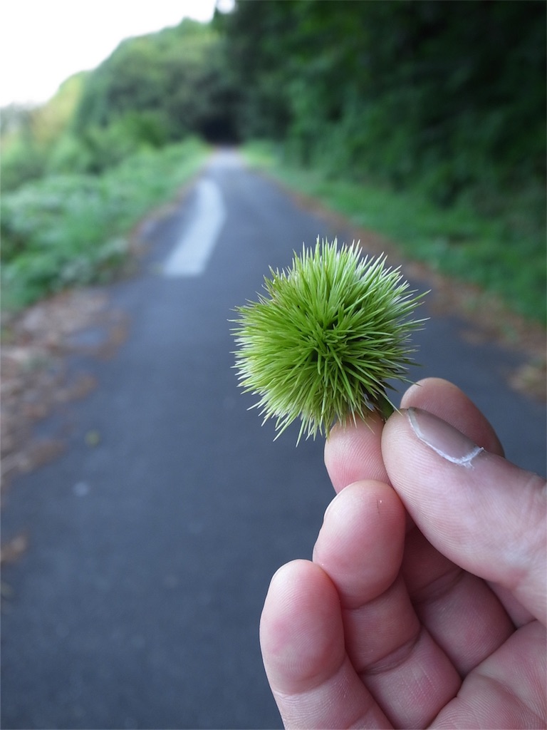 f:id:kosanikki:20180801180116j:image