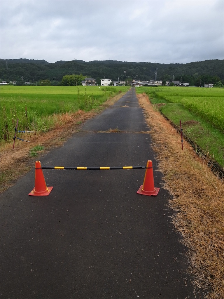 f:id:kosanikki:20180816180955j:image