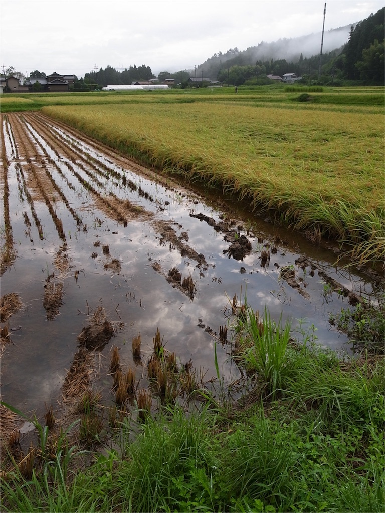 f:id:kosanikki:20180905183527j:image