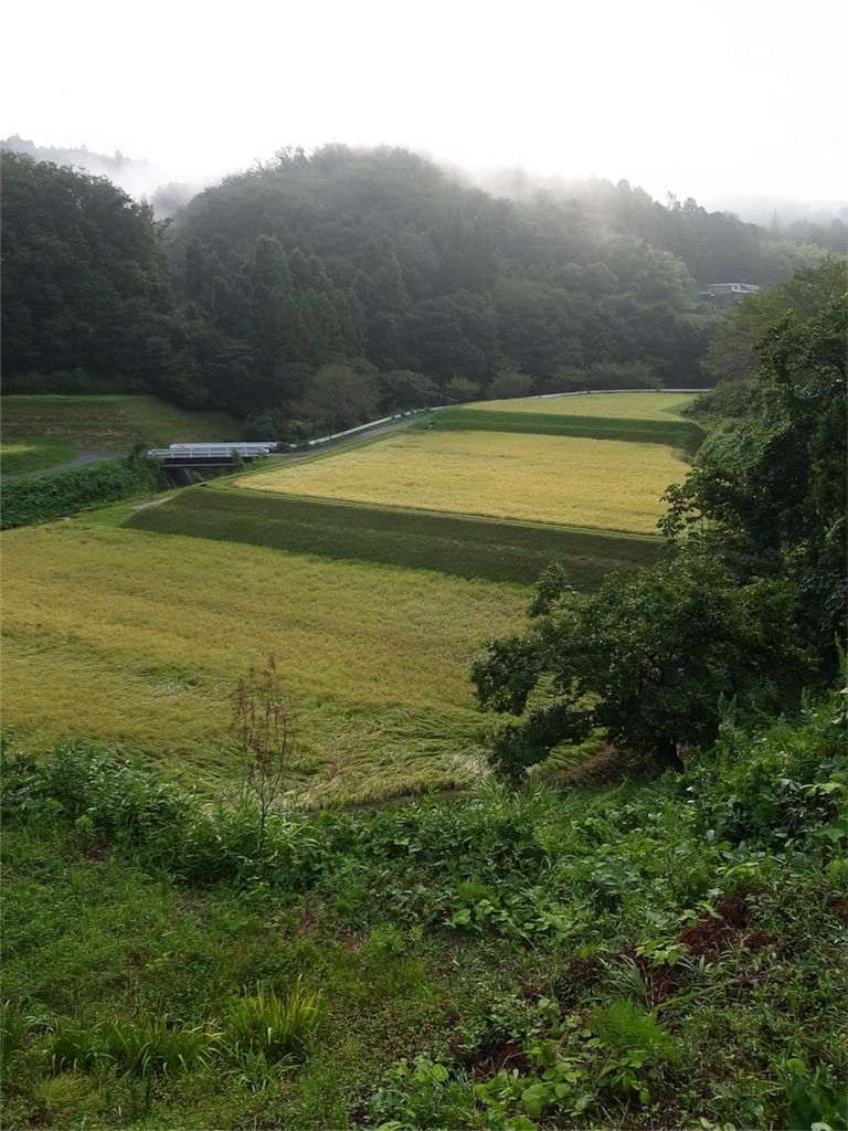 f:id:kosanikki:20180905183647j:image