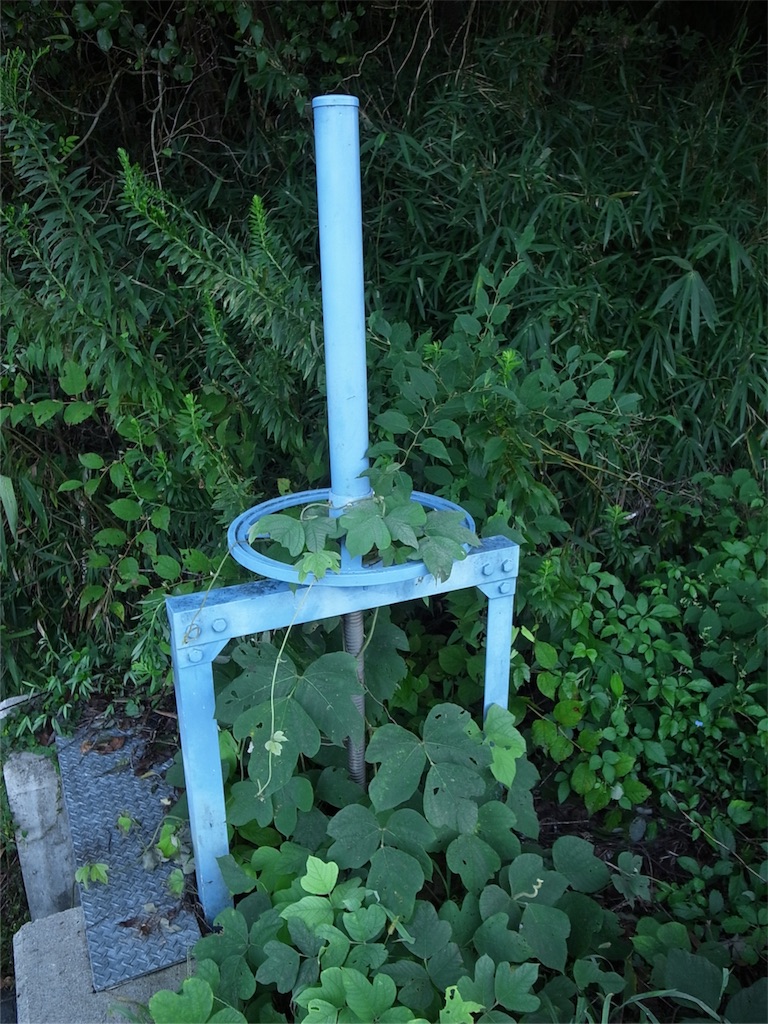 f:id:kosanikki:20180906094122j:image