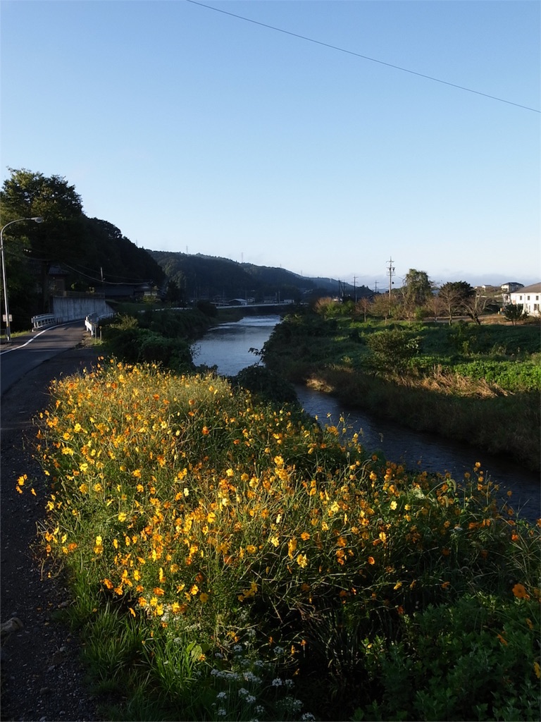 f:id:kosanikki:20180928193207j:image