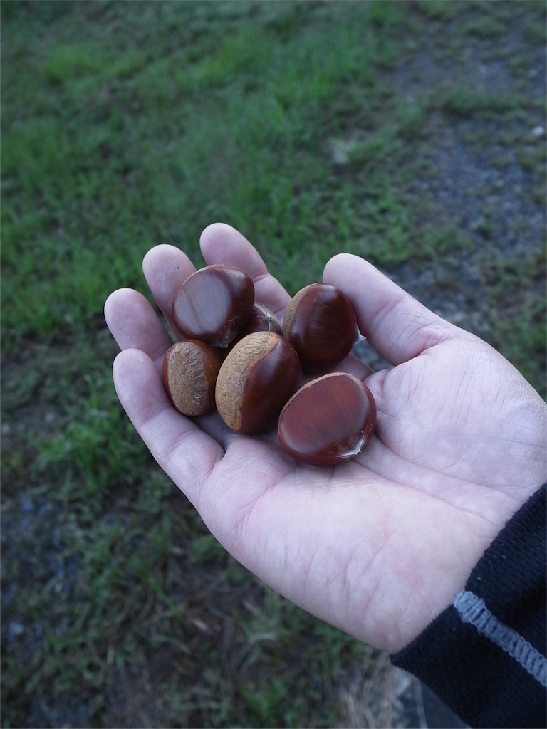 f:id:kosanikki:20180928193230j:image